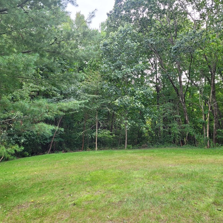 54 Summer Street North Andover, MA 01845 - Photo 5 of 25 a backyard of a house with lots of green space