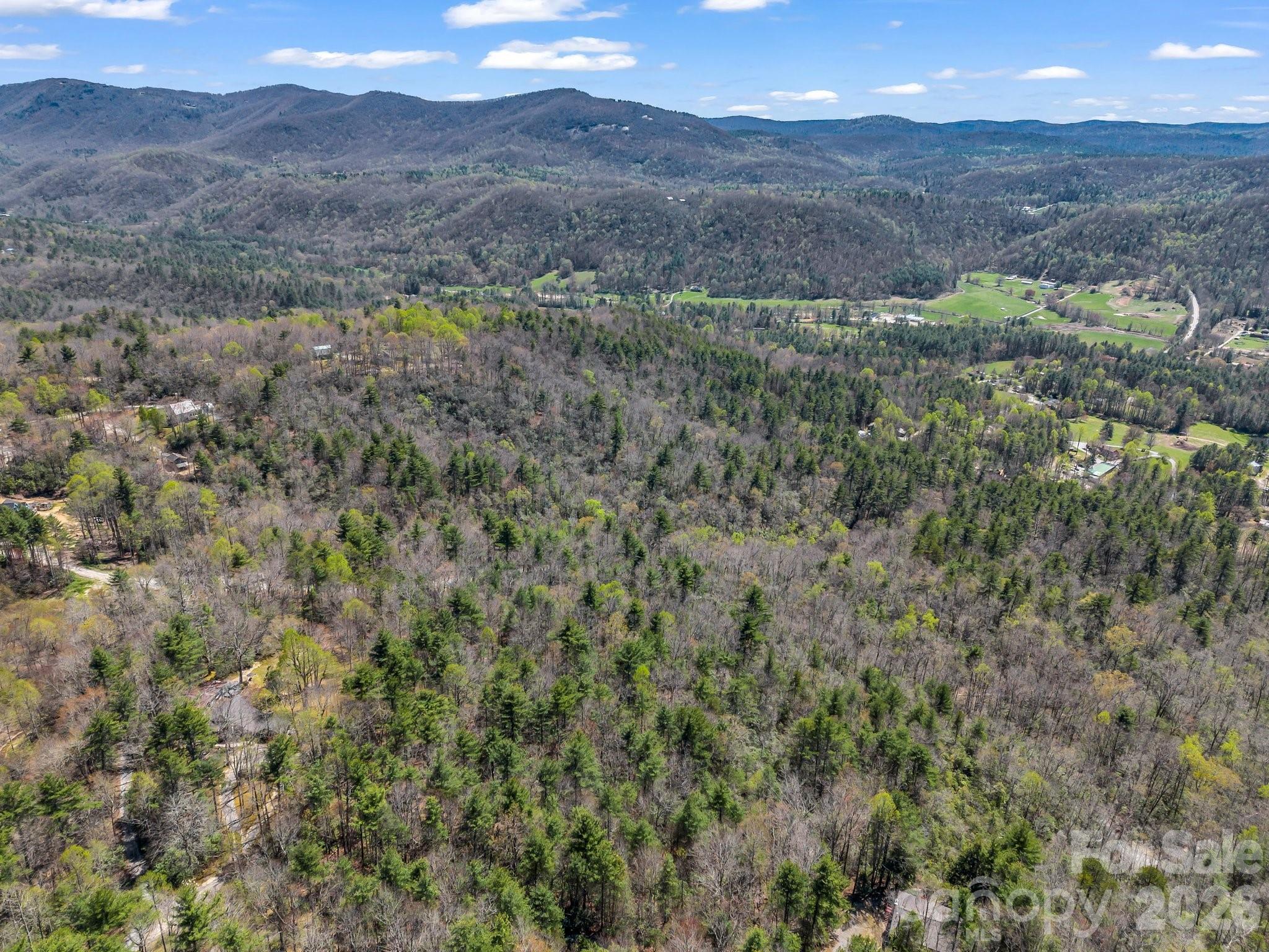 999 Bulling Creek Road Penrose, NC 28766 - Photo 29 of 37