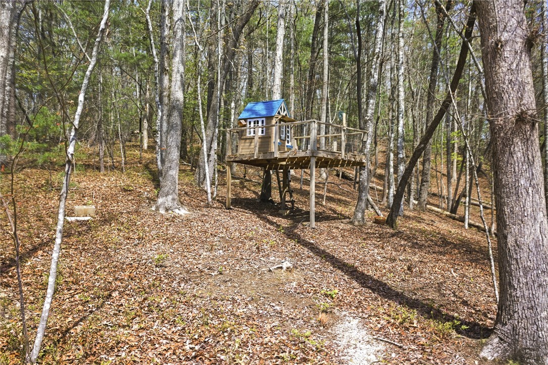 116 Wren Road Mountain Rest, SC 29664 - Photo 24 of 38