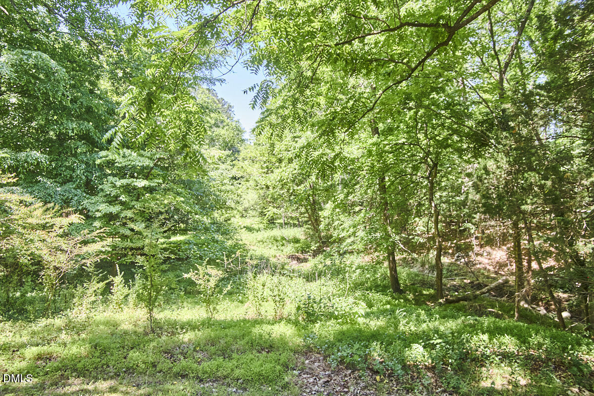 4204 Kerley Road Durham, NC 27705 - Photo 11 of 34 a view of a lush green forest