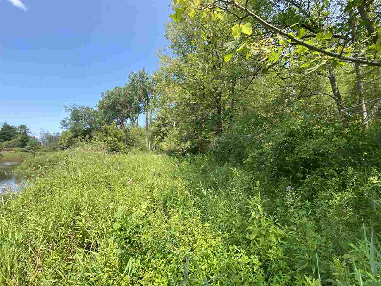 0 Briggs Road Omer, MI 48749 - Photo 43 of 45