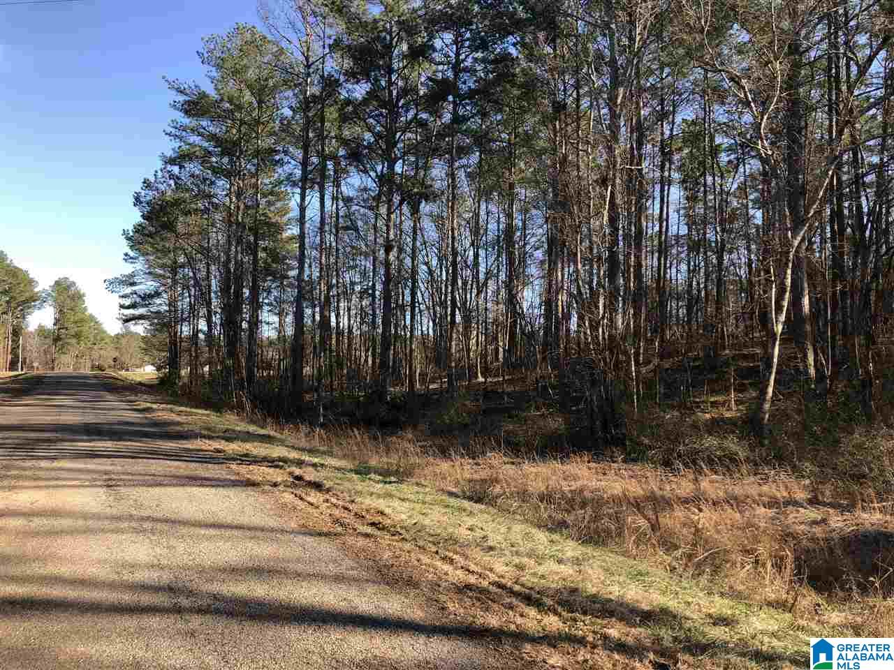 113 County Road, Unit 5 43 Lineville, AL 36266 - Photo 1 of 4