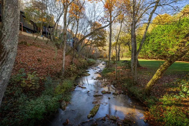 a view of yard covered with snow