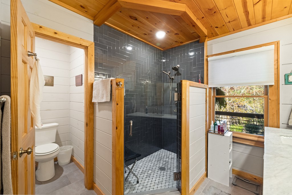 60 Ford Road Dahlonega, GA 30533 - Photo 19 of 59 a bathroom with a toilet and a shower