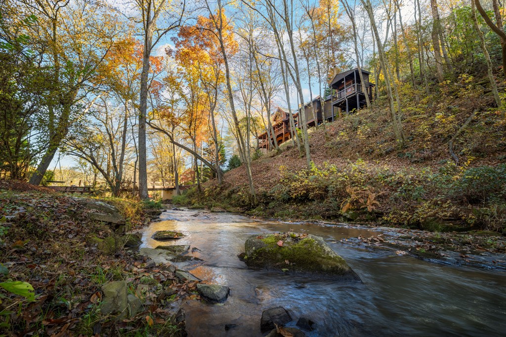 60 Ford Road Dahlonega, GA 30533 - Photo 3 of 59 a view of yard