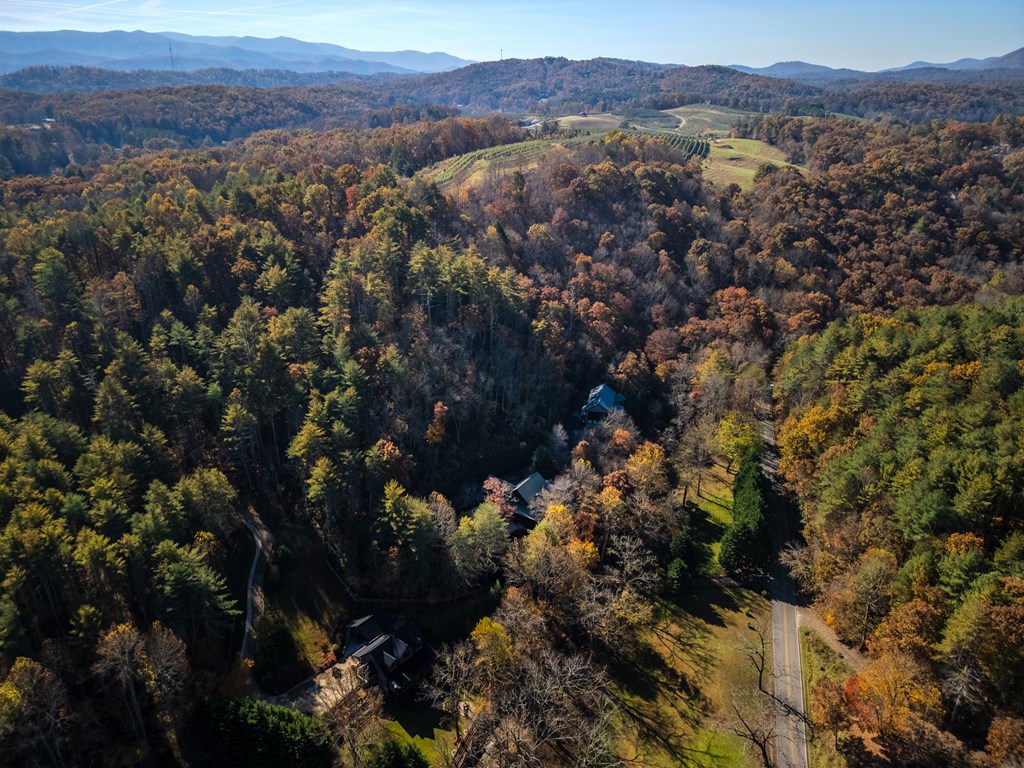 60 Ford Road Dahlonega, GA 30533 - Photo 45 of 59 a view of city and mountain