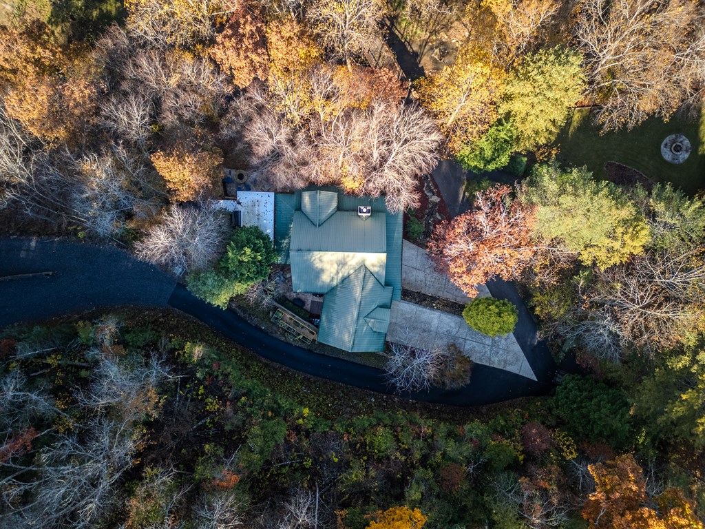 60 Ford Road Dahlonega, GA 30533 - Photo 48 of 59 a view of a house with a yard