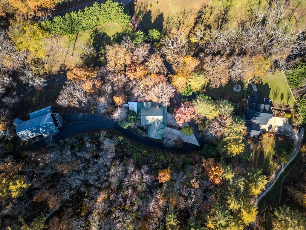 60 Ford Road Dahlonega, GA 30533 - Photo 55 of 59 a view of a tree in a yard
