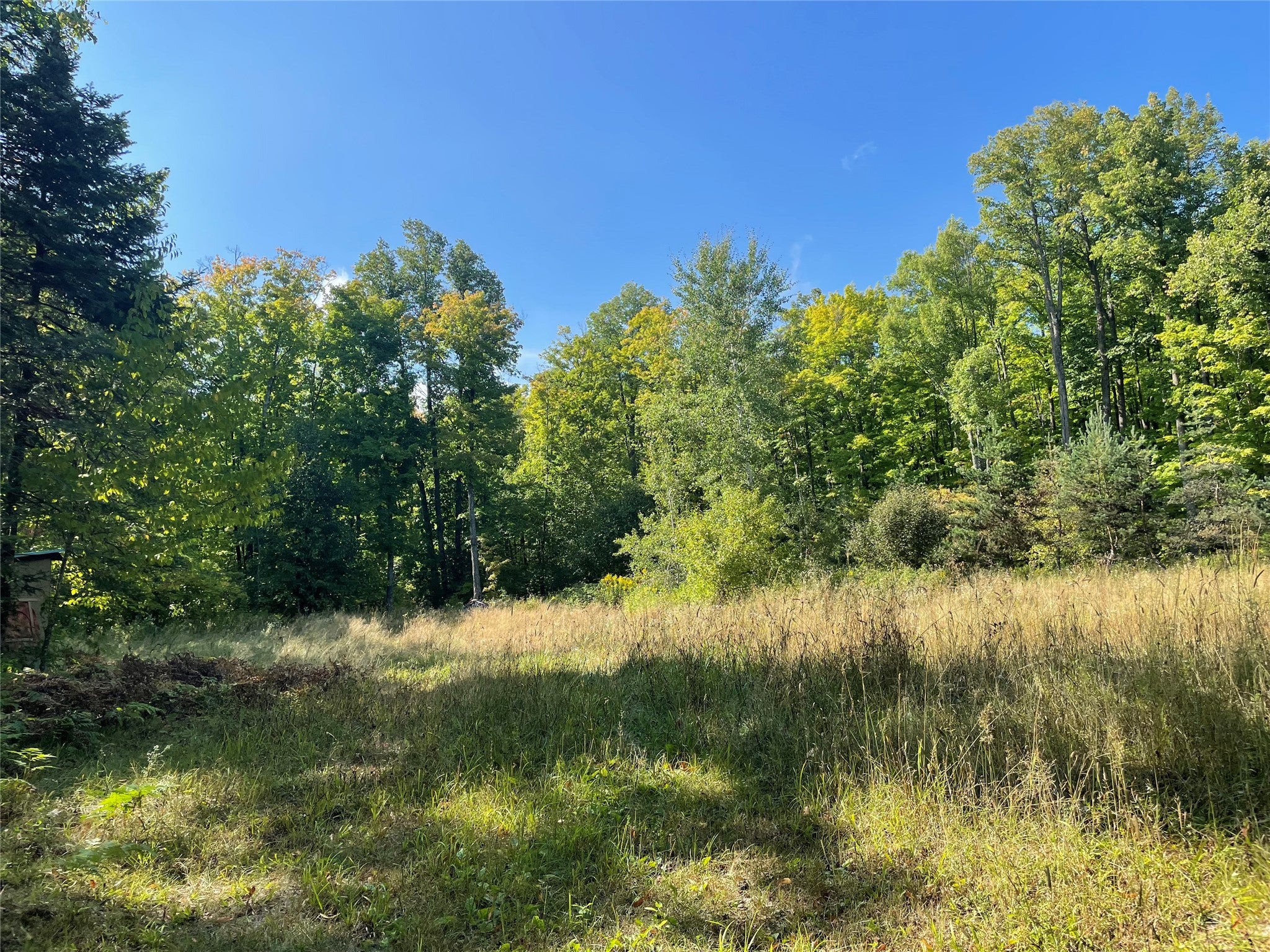 7154 West Mcdermott Road Winter, WI 54896 - Photo 32 of 44 Gallery Image 32