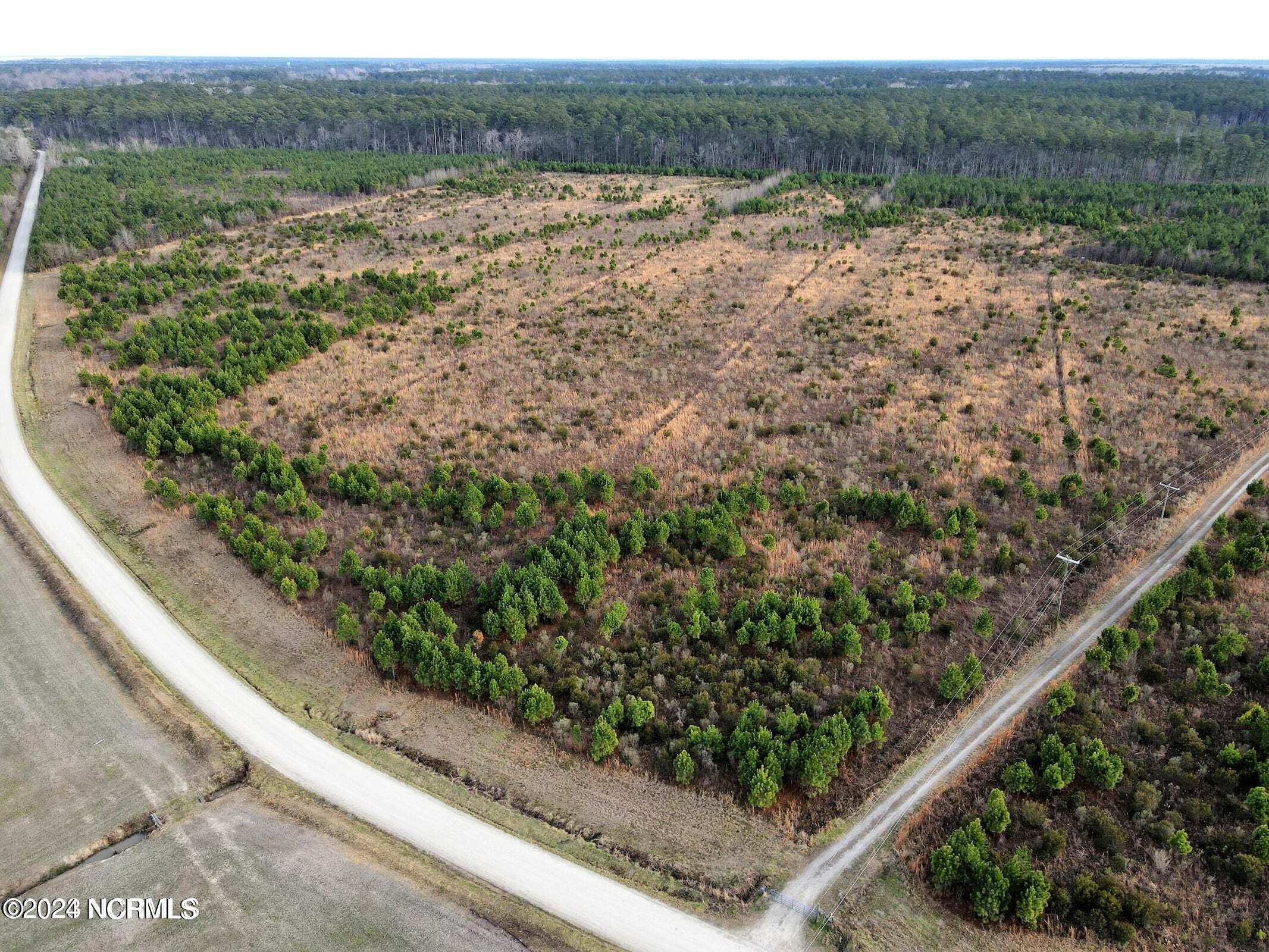 C Tebo Road New Bern, NC 28562 - Photo 20 of 26 PARCEL F