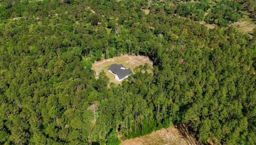 8626 Proctor Road Tallahassee, FL 32309 - Photo 61 of 64 Gallery Image 61