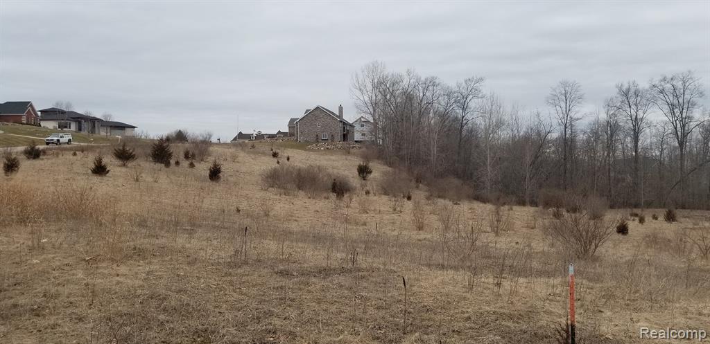 0 Palmers Way Fenton, MI 48430 - Photo 6 of 25
