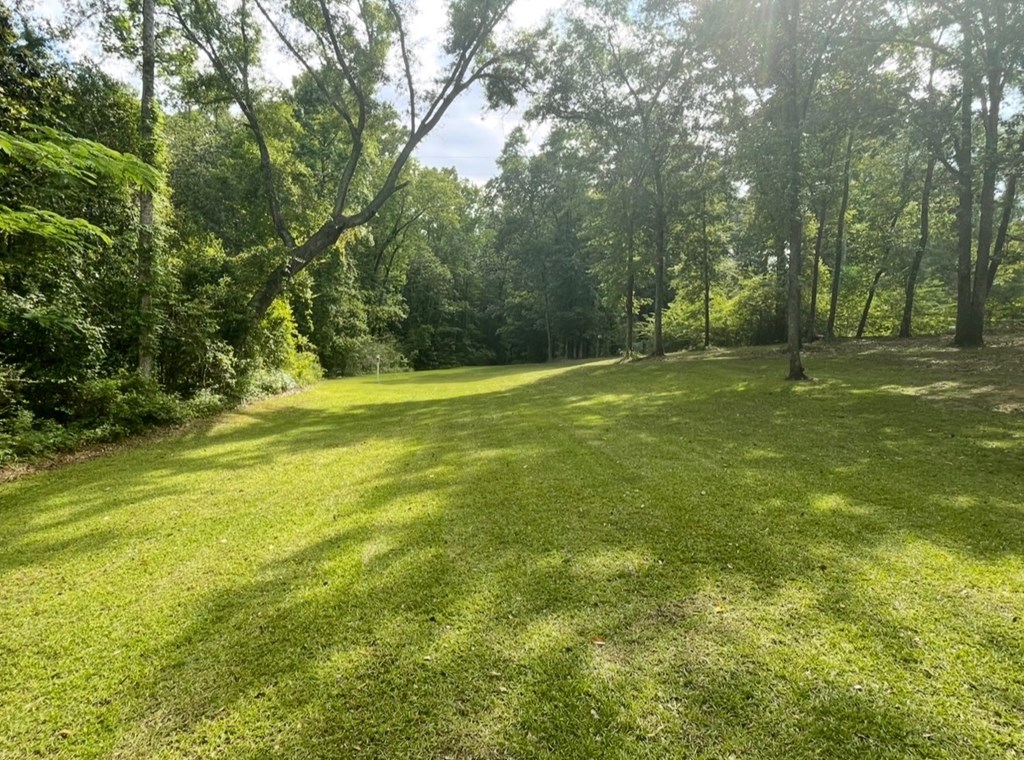 101 Foxrun Trail Dothan, AL 36303 - Photo 14 of 75
