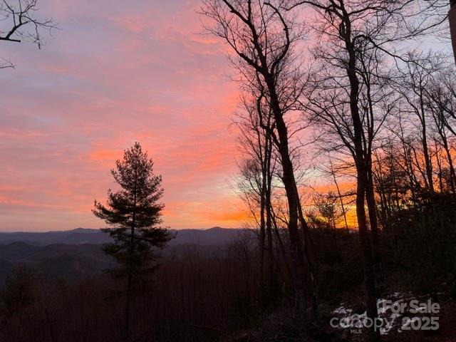 4515 Tolbert Road Collettsville, NC 28611 - Photo 28 of 34 Gallery Image 28