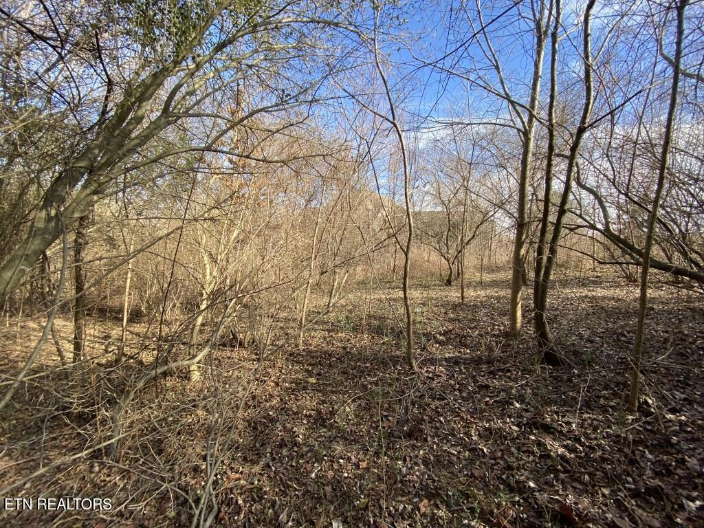 201 Sequoyah Road Loudon, TN 37774 - Photo 11 of 13 Sequoyah level