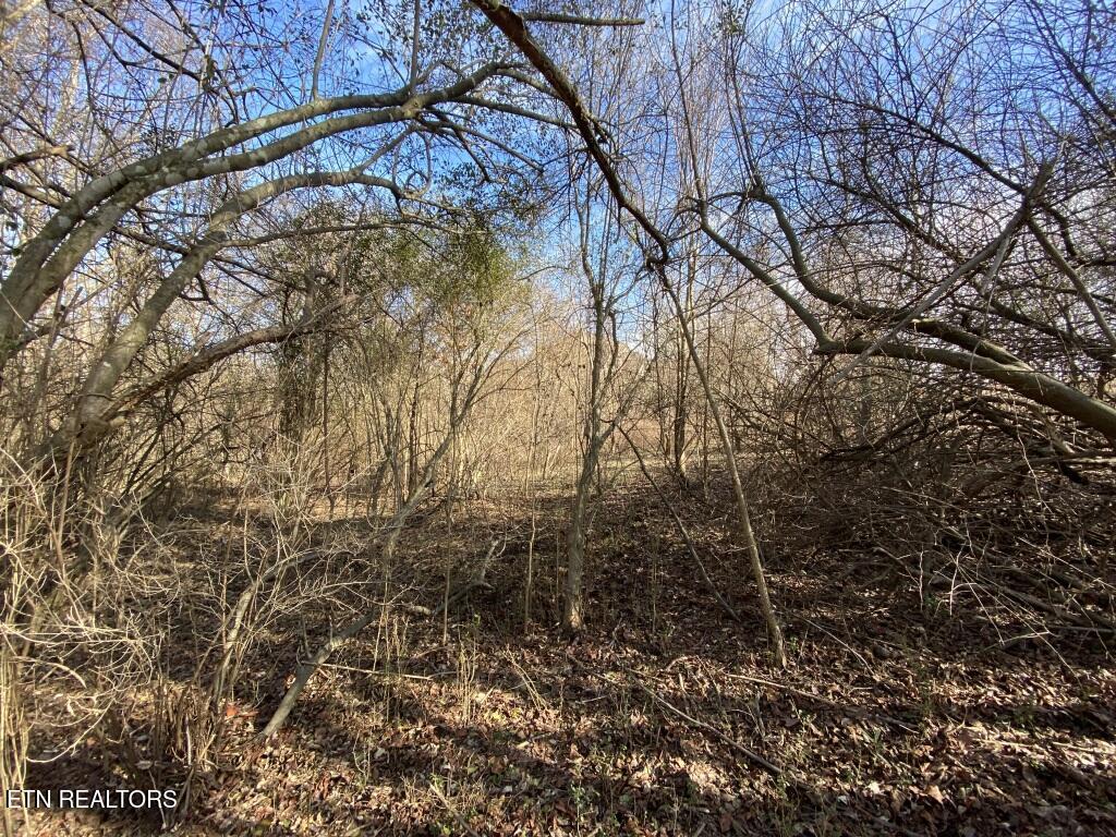 201 Sequoyah Road Loudon, TN 37774 - Photo 9 of 13 Sequoyah center