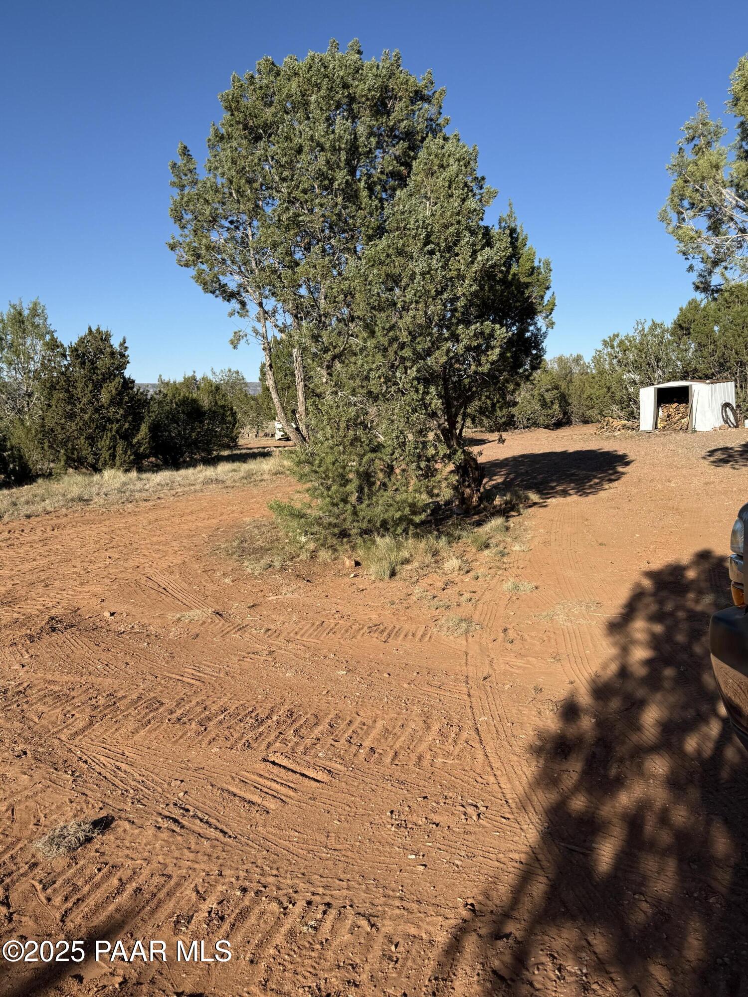 58350 Rana Road Seligman, AZ 86337 - Photo 11 of 18 a view of a yard with a tree
