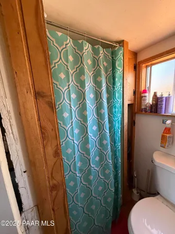 a white toilet sitting next to a shower curtain