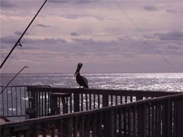 a living room with furniture a wooden floor and large window