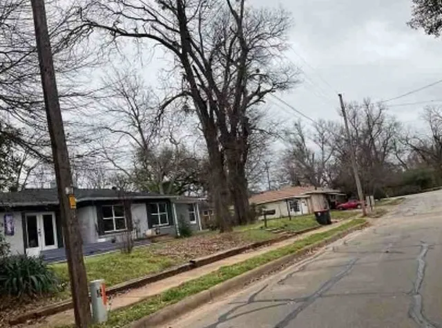 a view of a house with a large tree in front of it