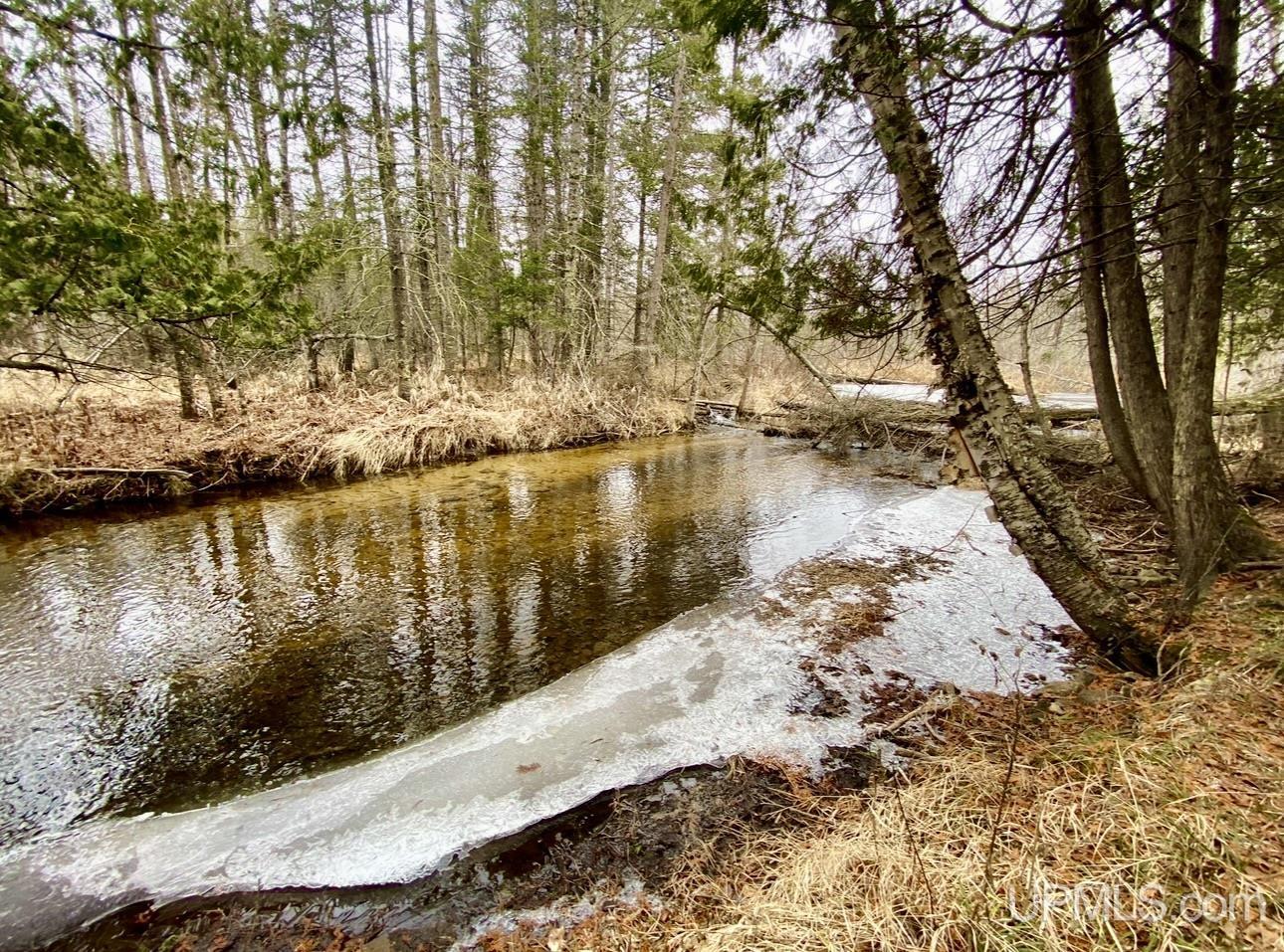 Tbd Tbd River Road Perronville, MI 49873 - Photo 1 of 3 Gallery Image 1