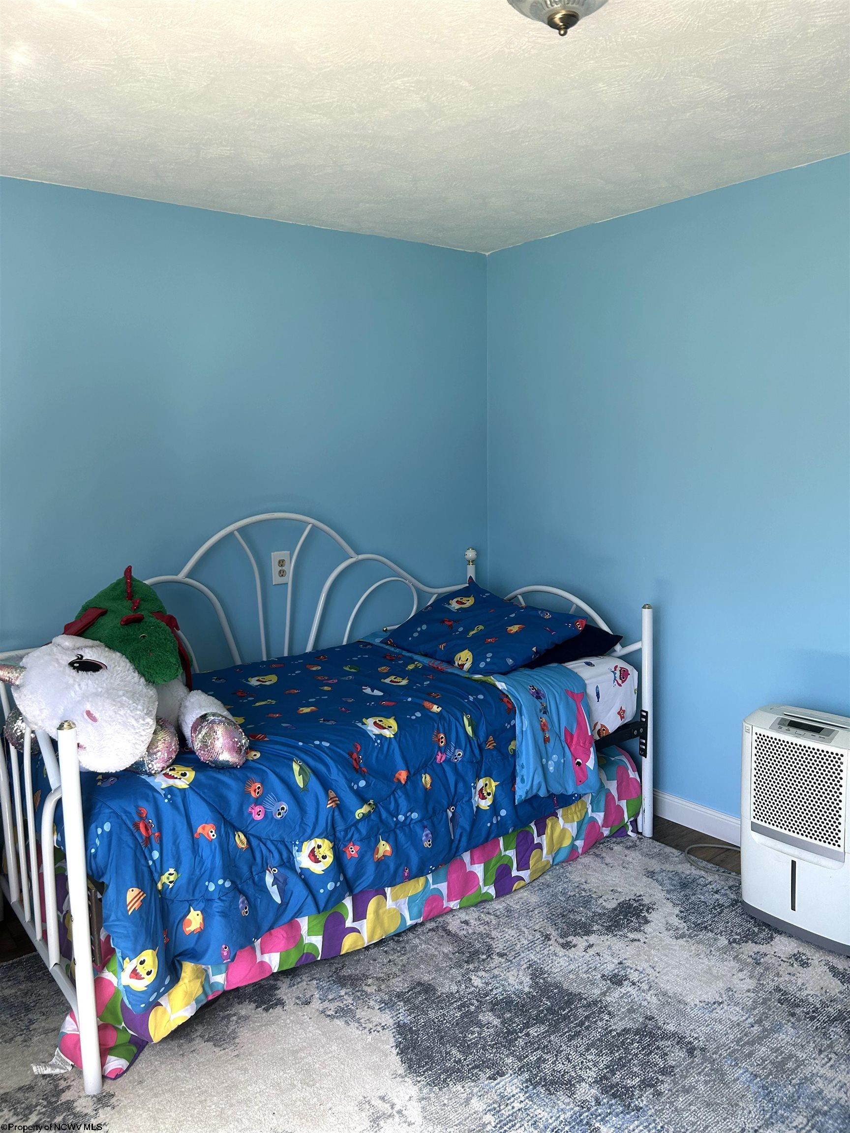 540 Cherry Run Road Craigsville, WV 26205 - Photo 21 of 42 Gallery Image 21