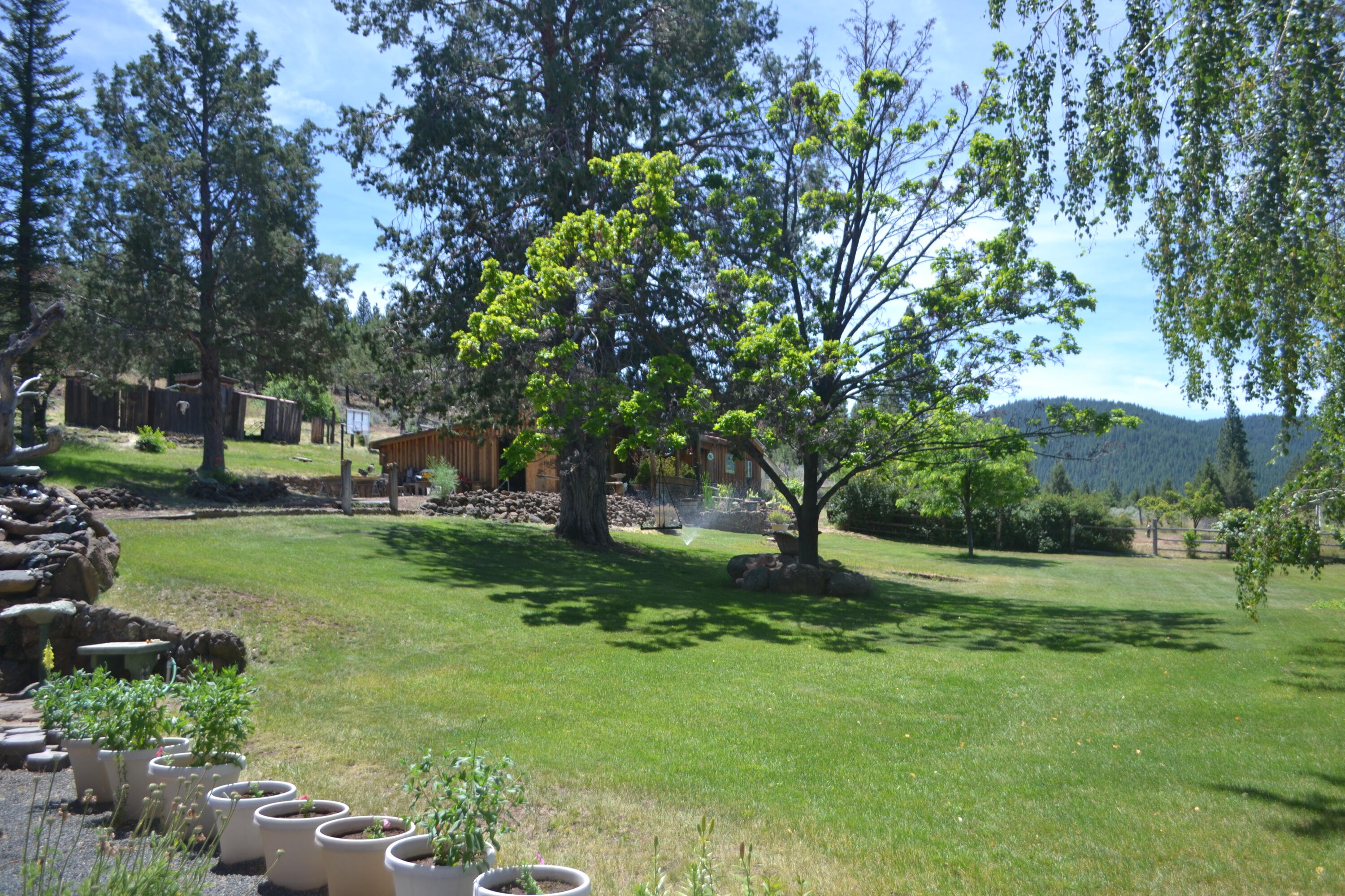 542-405 Punkin Center Road Bieber, CA 96009 - Photo 121 of 127 Yard (6)