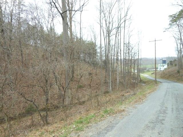 289 Possum Trot Road Philadelphia, TN 37846 - Photo 7 of 15 289 Possum Trot Rd06