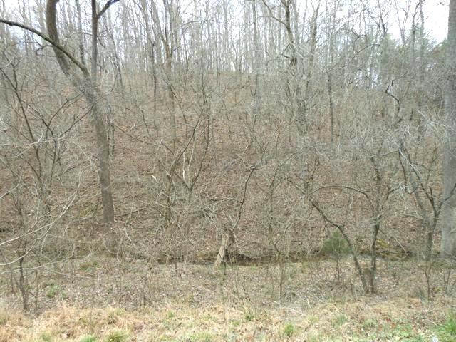 289 Possum Trot Road Philadelphia, TN 37846 - Photo 8 of 15 289 Possum Trot Rd07