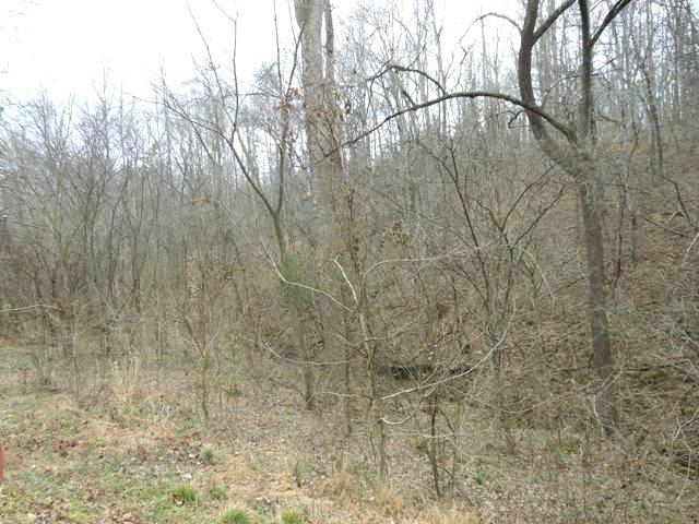 289 Possum Trot Road Philadelphia, TN 37846 - Photo 9 of 15 289 Possum Trot Rd08