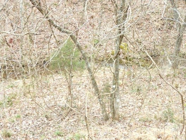 289 Possum Trot Road Philadelphia, TN 37846 - Photo 10 of 15 289 Possum Trot Rd09