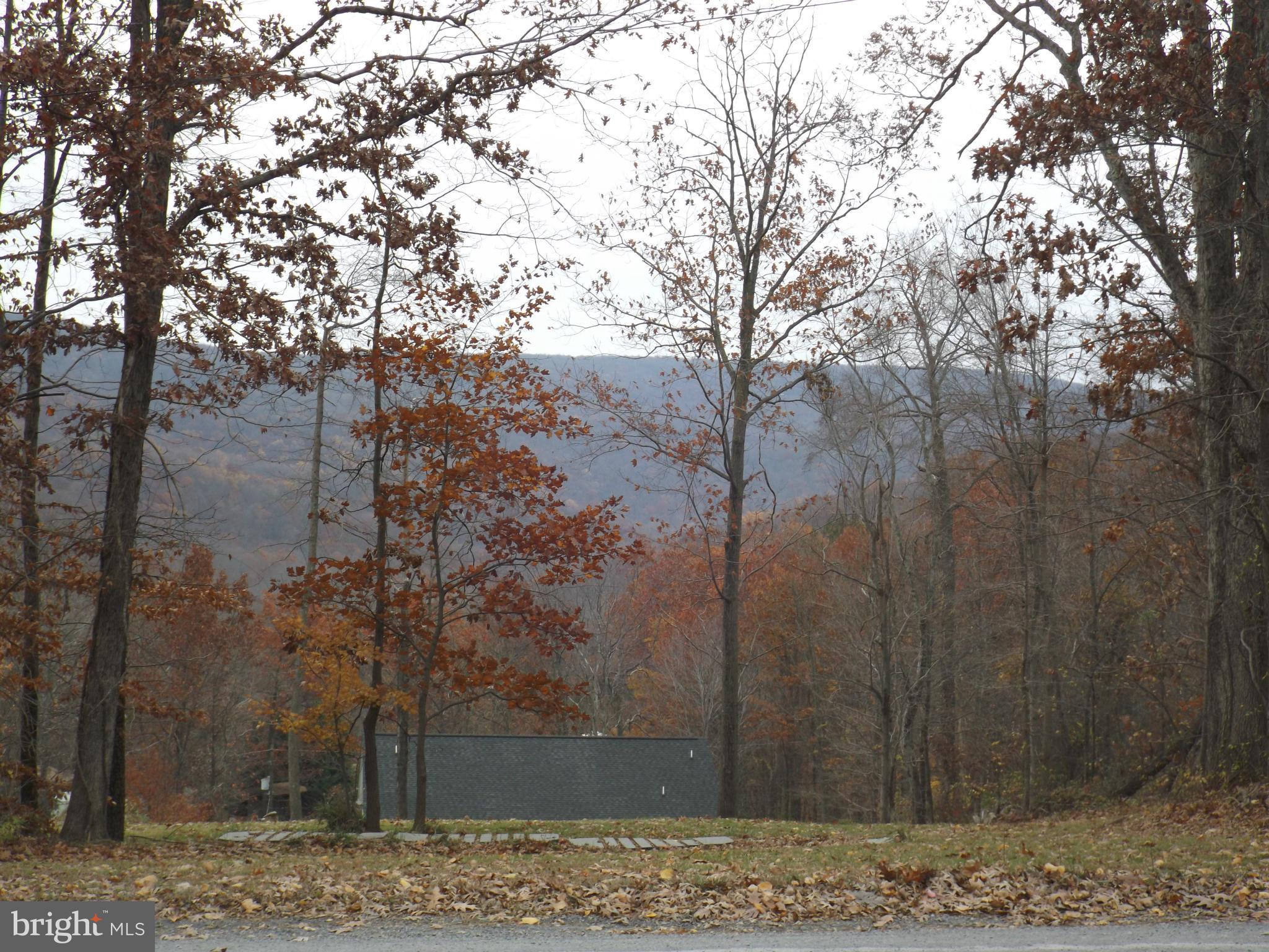 0 Pine Ridge Drive Front Royal, VA 22630 - Photo 5 of 28 View