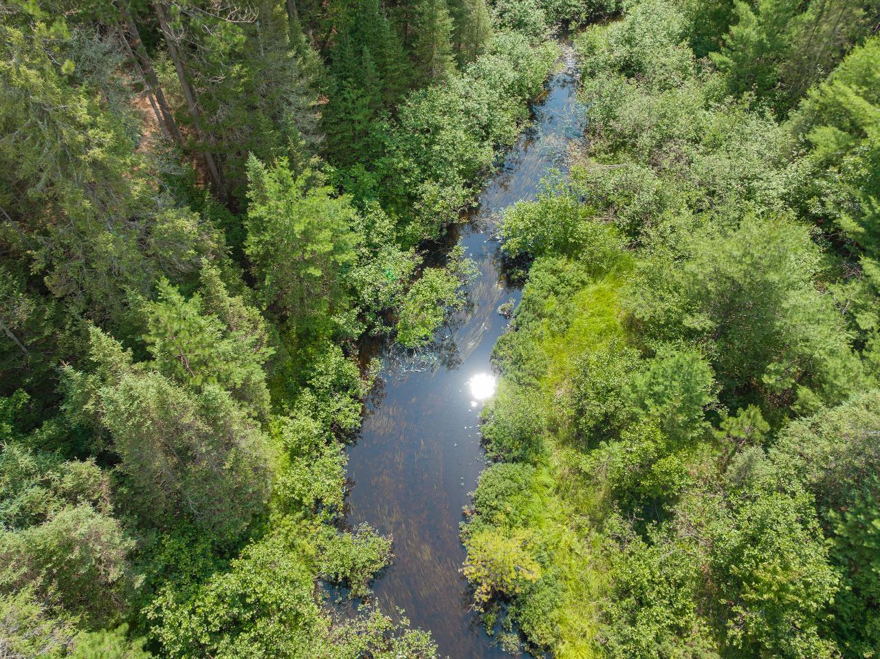1.7-ac On Pit Road Eagle River, WI 54521 - Photo 1 of 4 Gallery Image 1