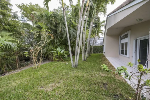 a view of a backyard with plants and large trees