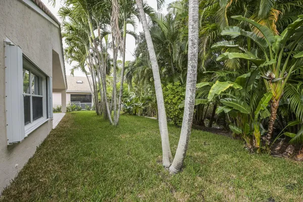 a view of a yard in front of house