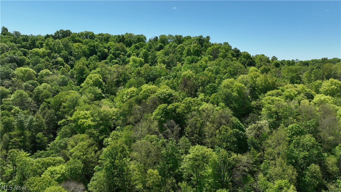 8261 Glendale Road Cairo, WV 26337 - Photo 10 of 37