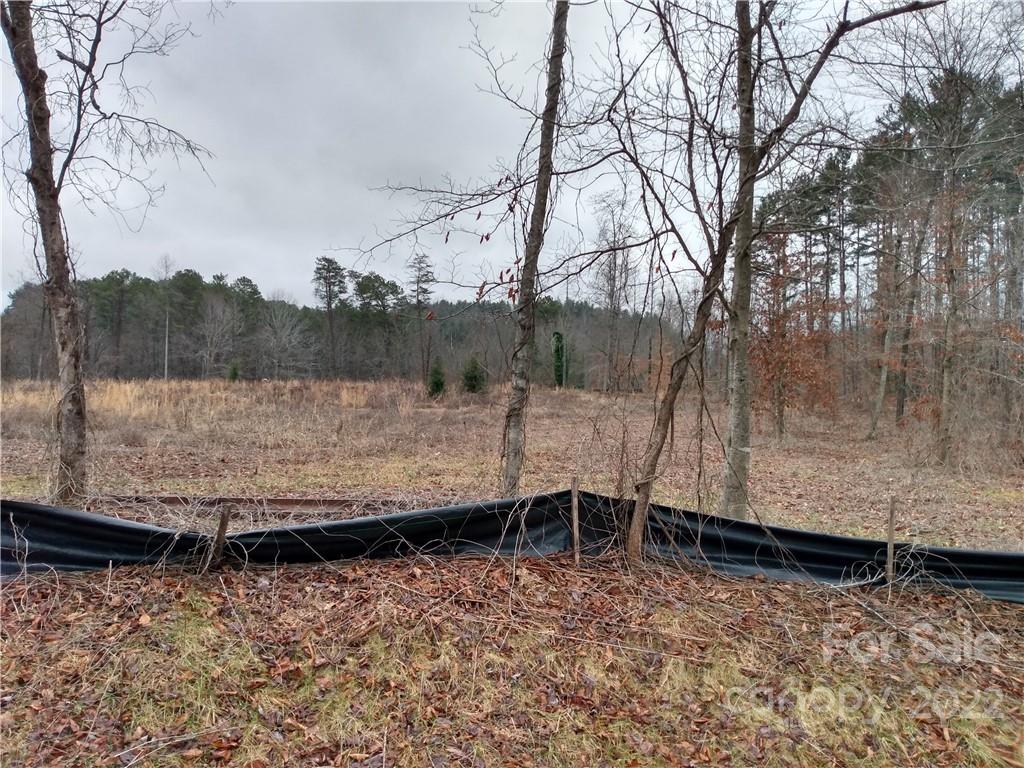 Tbd Yancey Road, Unit 8 Marion, NC 28752 - Photo 1 of 31 Gallery Image 1
