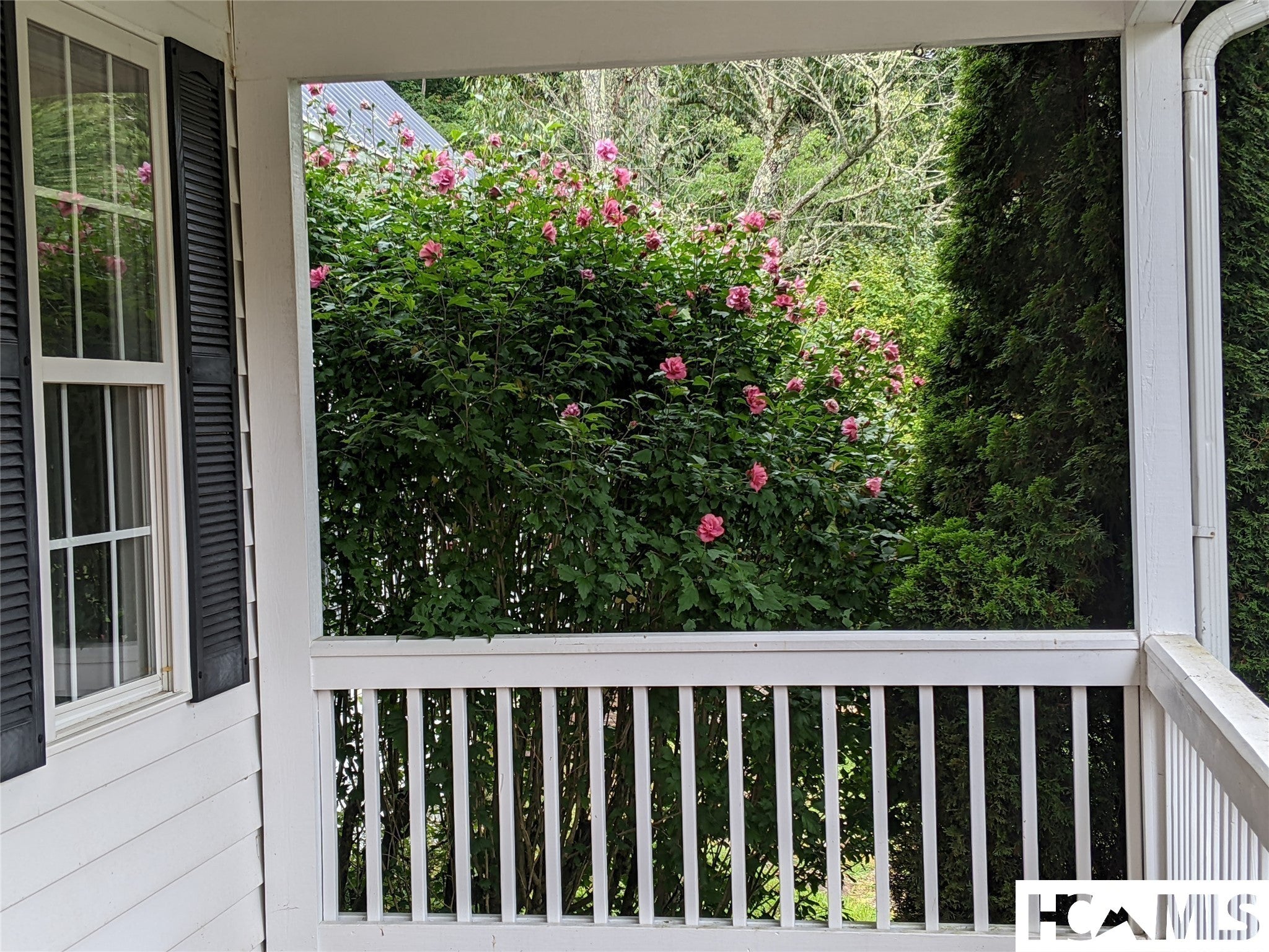 2888 Mill Creek Road Cullowhee, NC 28723 - Photo 12 of 97 Gallery Image 12