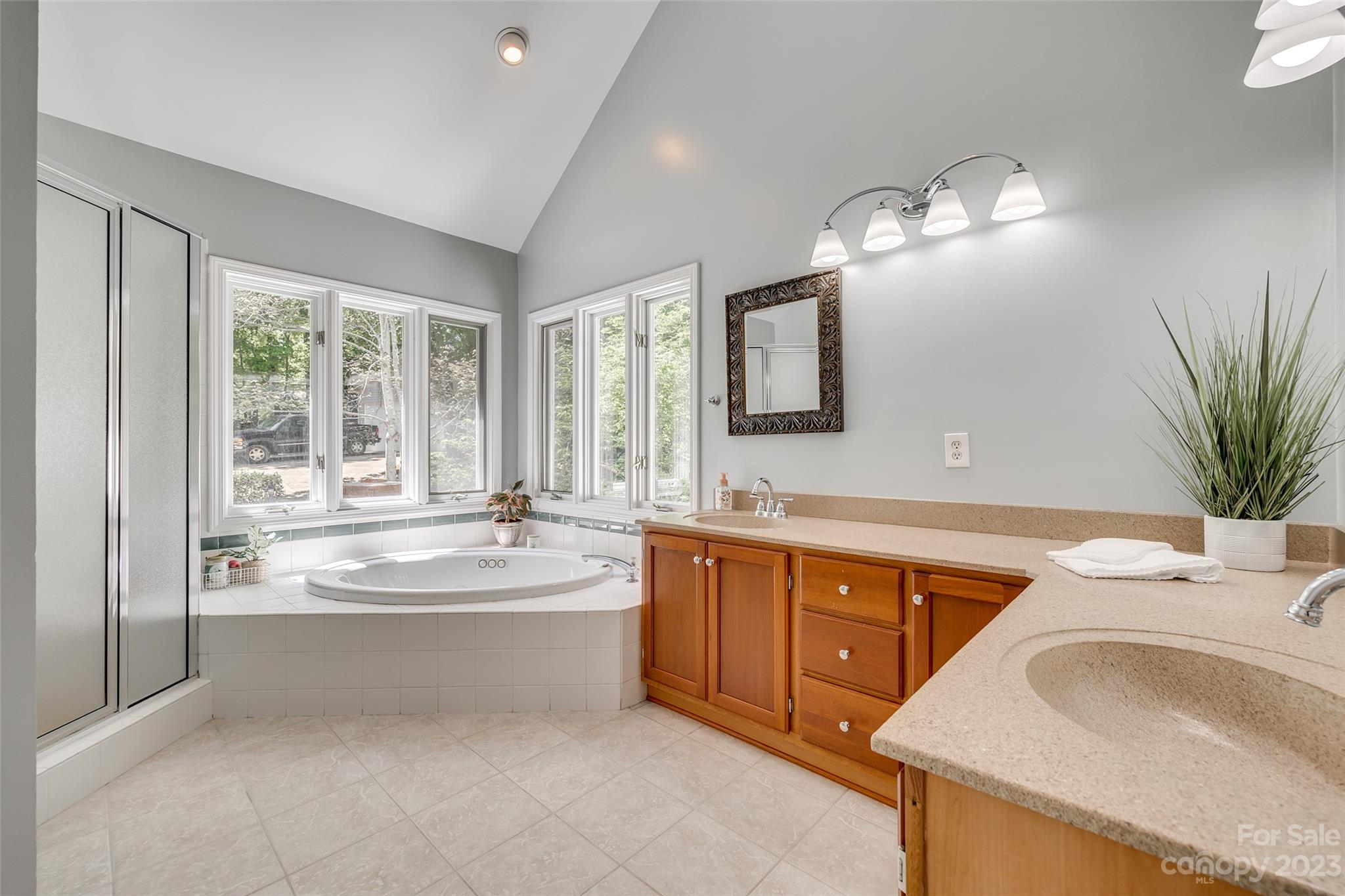 12005 Forest Garden Fort Mill, SC 29708 - Photo 30 of 48 a bathroom with a tub sink and mirror
