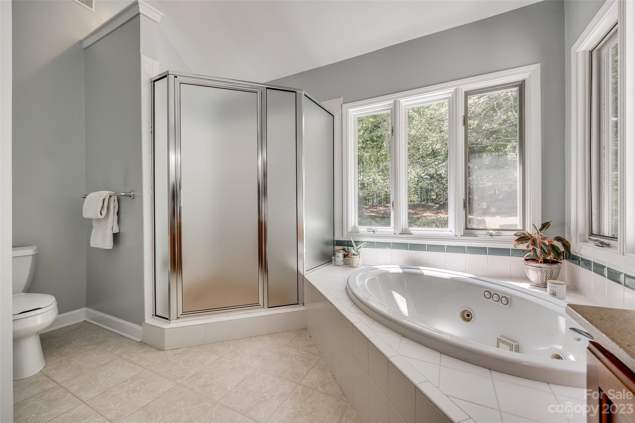 12005 Forest Garden Fort Mill, SC 29708 - Photo 31 of 48 a spacious bathroom with a tub shower and a sink