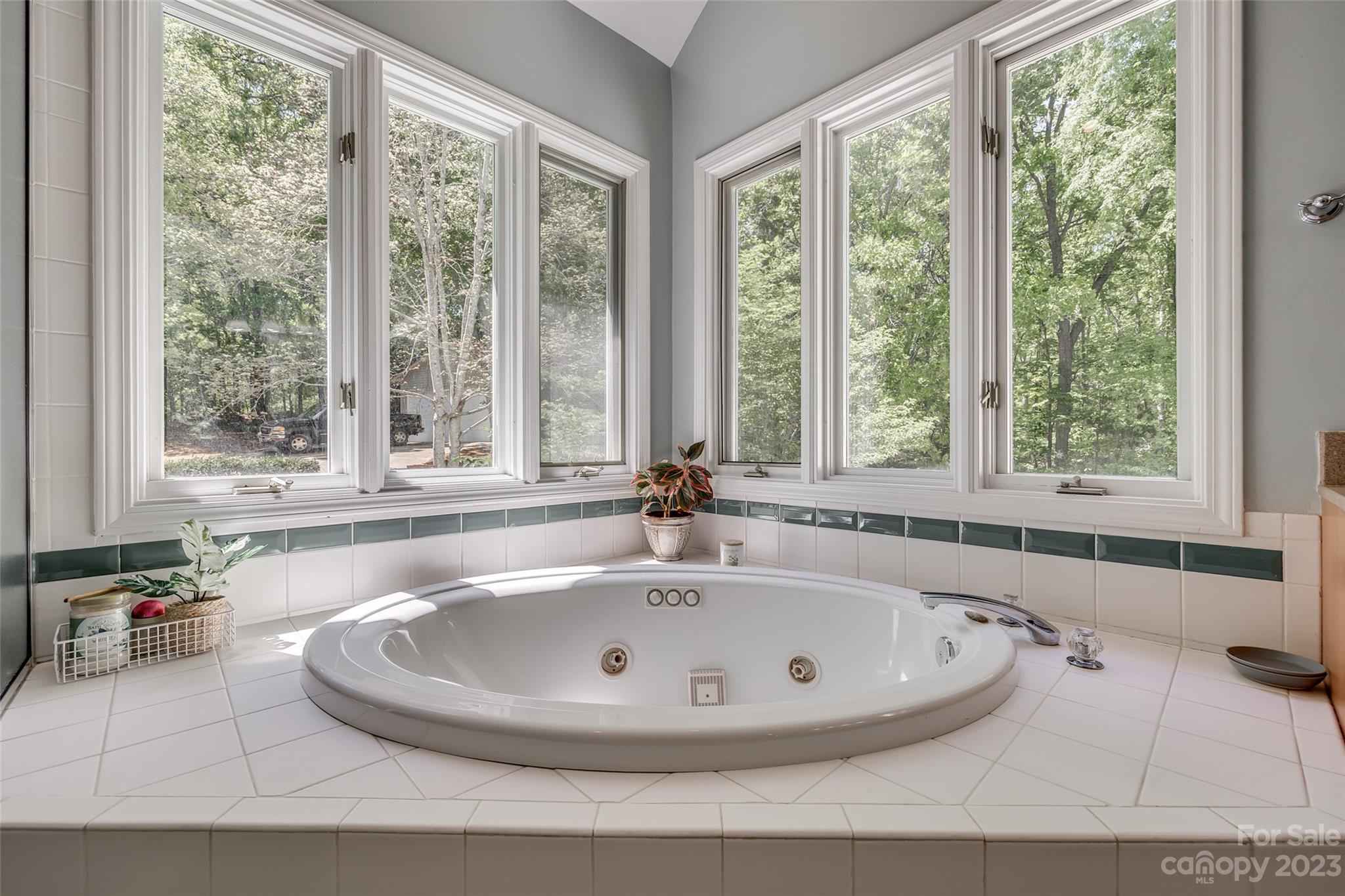 12005 Forest Garden Fort Mill, SC 29708 - Photo 33 of 48 a bathroom with sink and bathtub