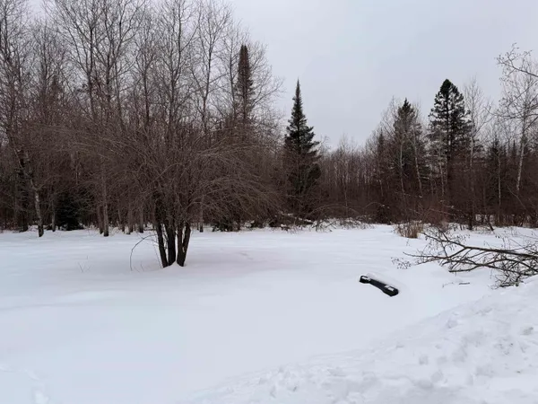 $379,000 | W13821 Lloyd Creek Road, Gleason, WI 54435