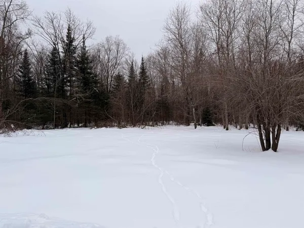 $379,000 | W13821 Lloyd Creek Road, Gleason, WI 54435