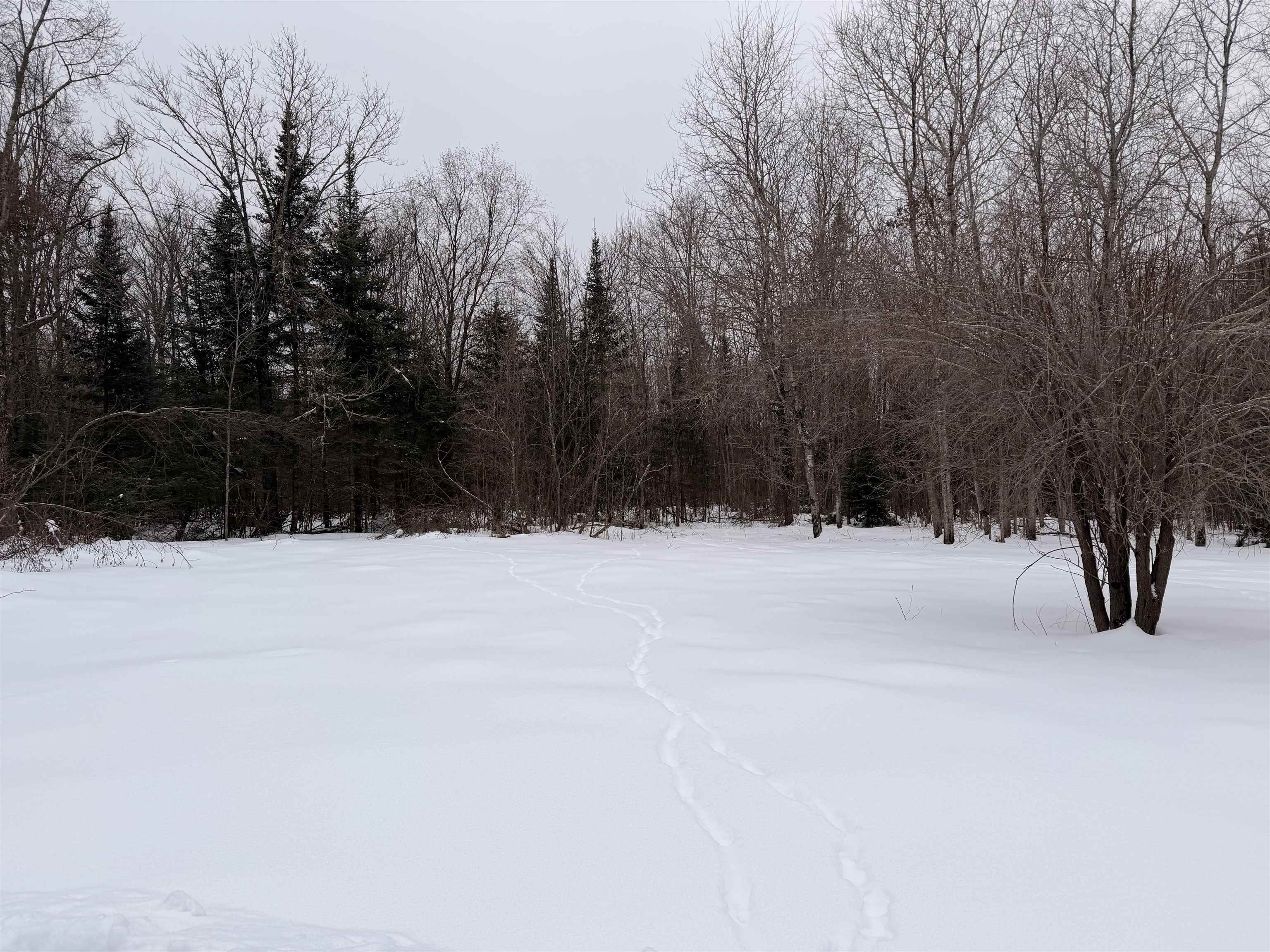 W13821 Lloyd Creek Road Gleason, WI 54435 - Photo 13 of 45