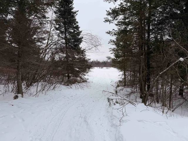 $399,000 | W13821 Lloyd Creek Road, Gleason, WI 54435