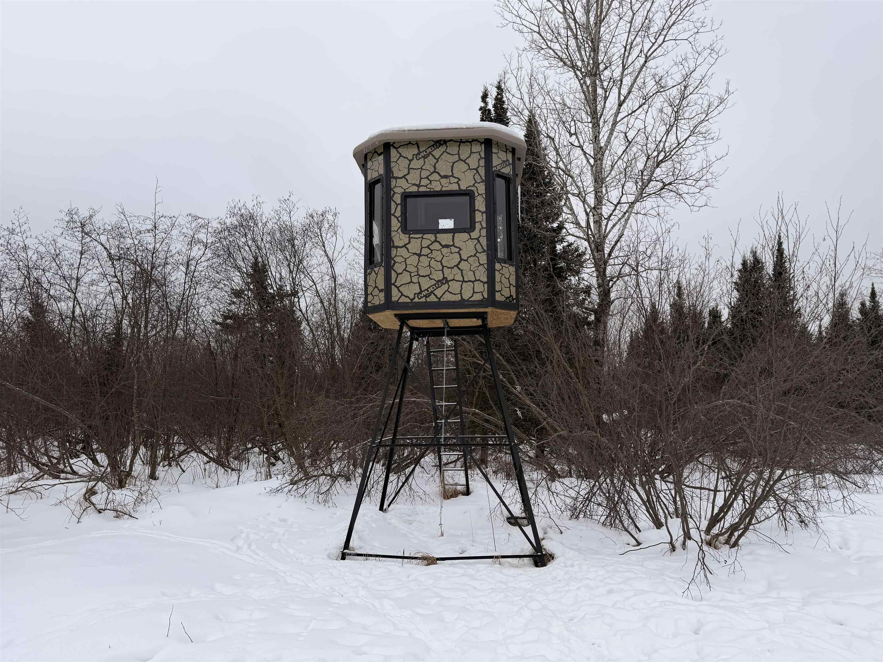 W13821 Lloyd Creek Road Gleason, WI 54435 - Photo 17 of 45