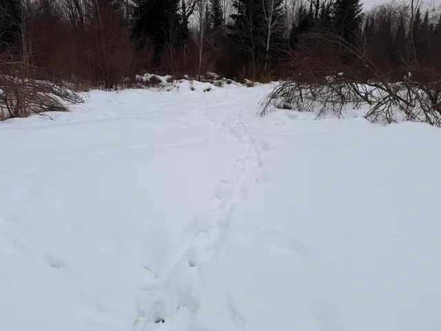 $399,000 | W13821 Lloyd Creek Road, Gleason, WI 54435