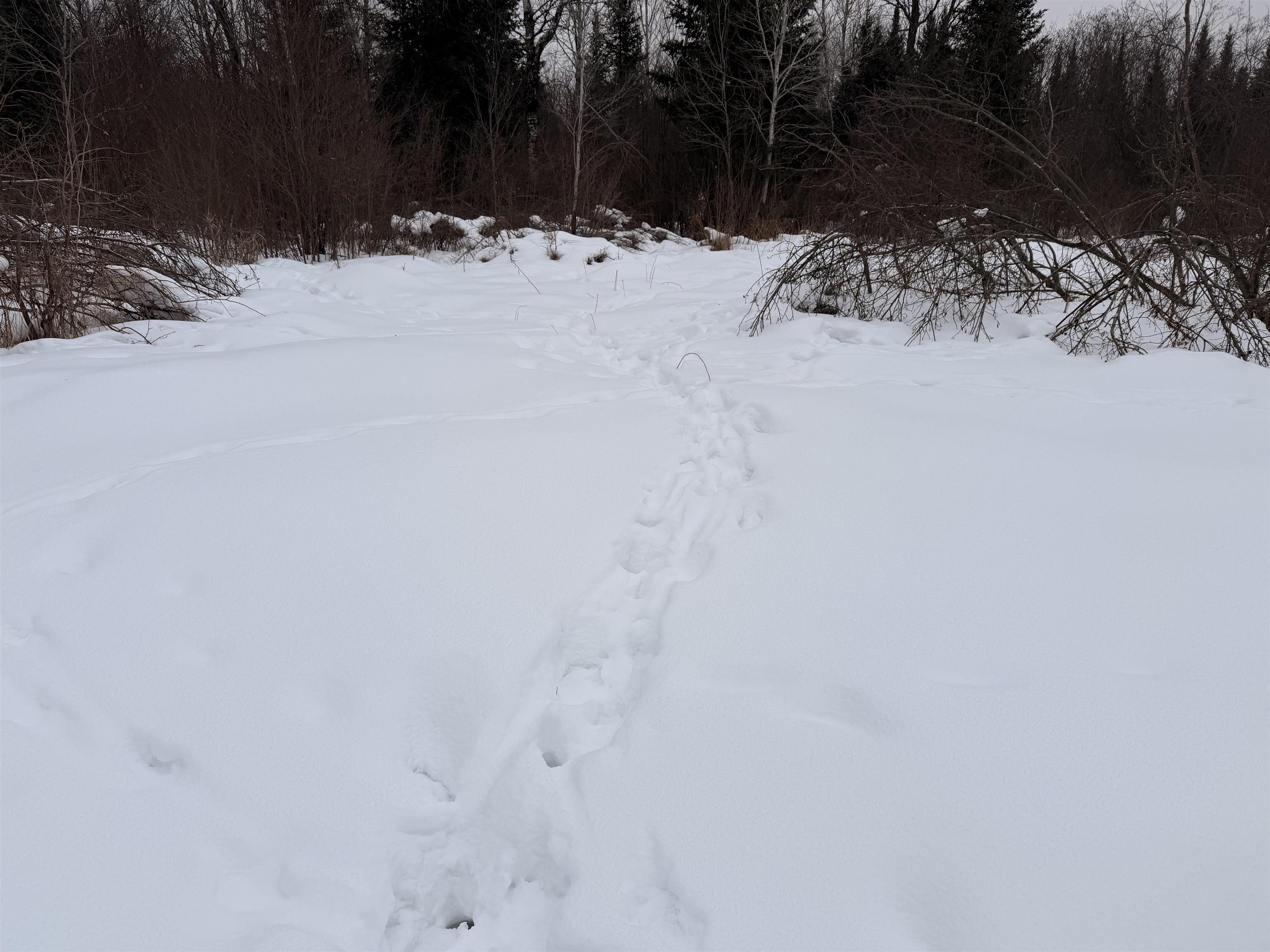 W13821 Lloyd Creek Road Gleason, WI 54435 - Photo 18 of 45