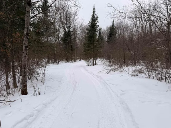 $379,000 | W13821 Lloyd Creek Road, Gleason, WI 54435