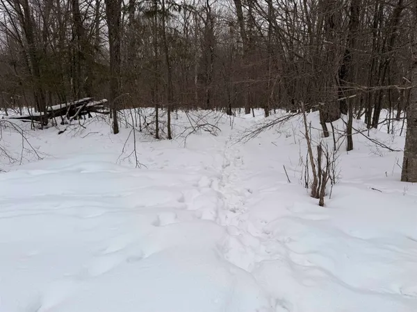 $379,000 | W13821 Lloyd Creek Road, Gleason, WI 54435